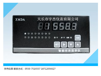 XMDA-9000智能巡回显示调节仪