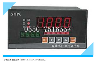 XMTA智能数字(光柱/PID)显示调节仪